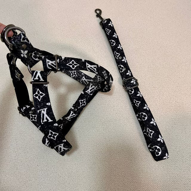 LOUIS PAWTON Harness/Collar Set