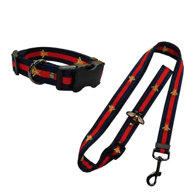 GG Collar & Leash